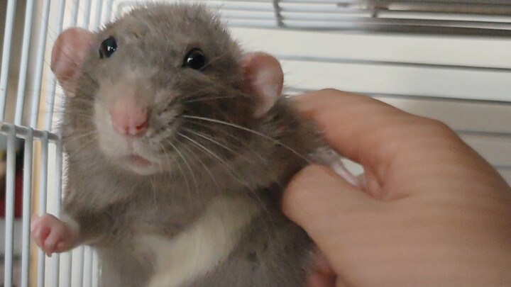 I'm out of ideas—any louder sound would scare me!