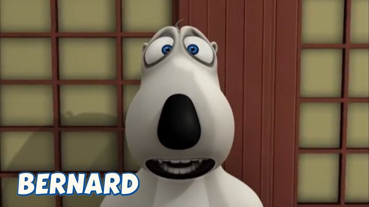 BERNARD BEAR || KARATE - CARTOON CHILDREN