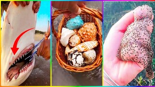 Catching Seafood 🦀 ASMR Relaxing (Catch Shark , Catch Fish ,Deep Sea Monster ) #581