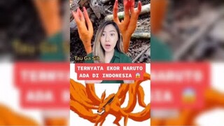 Tiktok Deasi Listiani | TERNYATA EKOR NARUTO ADA DI INDONESIA