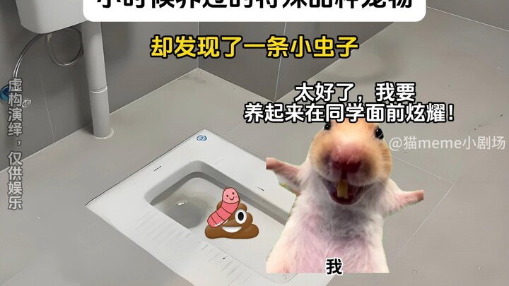 Special Pet Breeds I Raised as a Kid