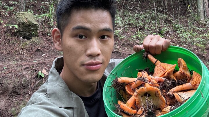 Immersive mushroom-picking experience!
