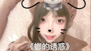 แมลงสาบแท้ๆ ร้อนแรงจริงๆ~ คืนนี้มาบ้านเพื่อนเธอนะ~