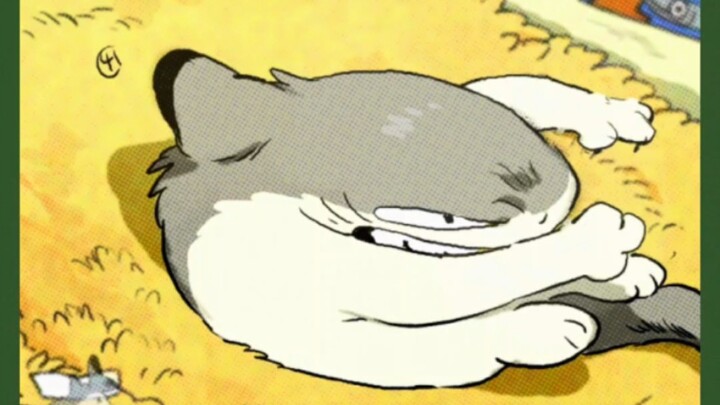 Shark Cat: หลังจากตบหนึ่งครั้ง ดวงตาของเขาก็ชัดเจน