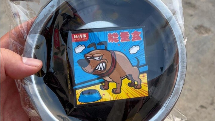 I seriously have to hand it to today’s merchants—so worried you won’t find a dog bowl to set off fir