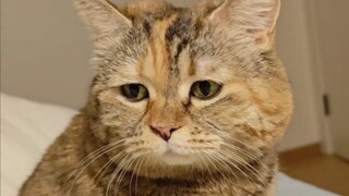 If only Mom could hold me while I sleep