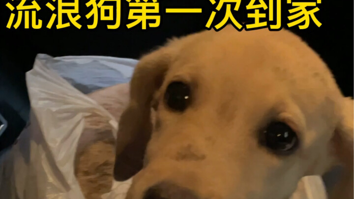 I’ve been emotionally wrecked for days—every move you make, I’m watching. You’ve finally found a hom