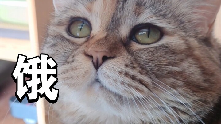 บทกวีอ่าน “คิดถึงปลาที่โบกไปมาเมื่อคืนนี้”