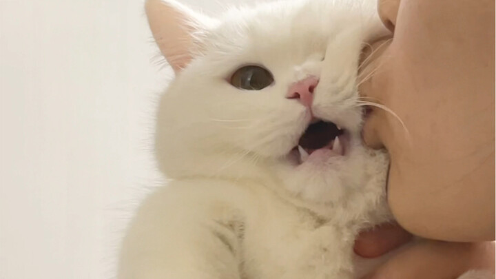 I’ve got a cat whose mood is more stable than mine.