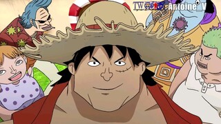 One Piece Opening Parody