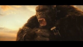 Godzilla vs. Kong  ก็อตซิล่าเจอคอง