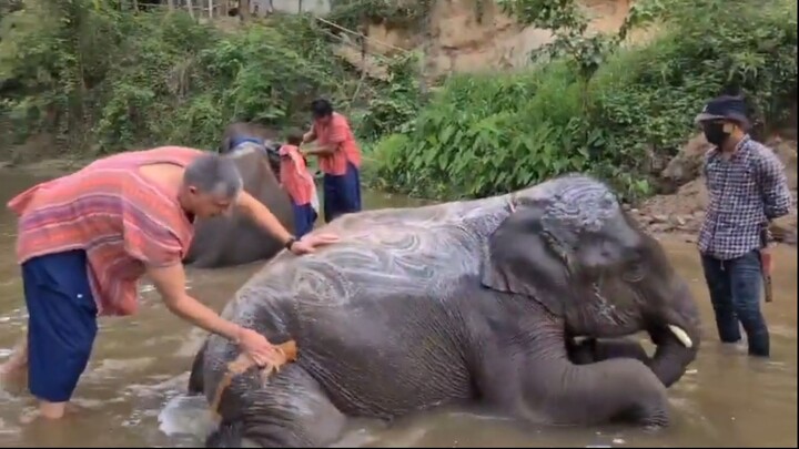 เมื่อต่างชาติมาไทยครั้งแรก