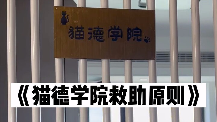 Cat De Academy Rescue Principles