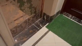 The young lady was waiting for the delivery man at the elevator entrance with a knife  