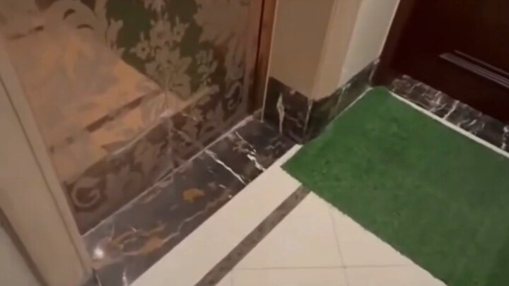 Wanita muda itu sedang menunggu petugas pengiriman di pintu masuk lift dengan membawa pisau  