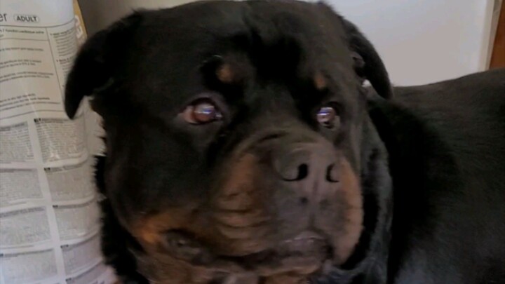 С полуслова