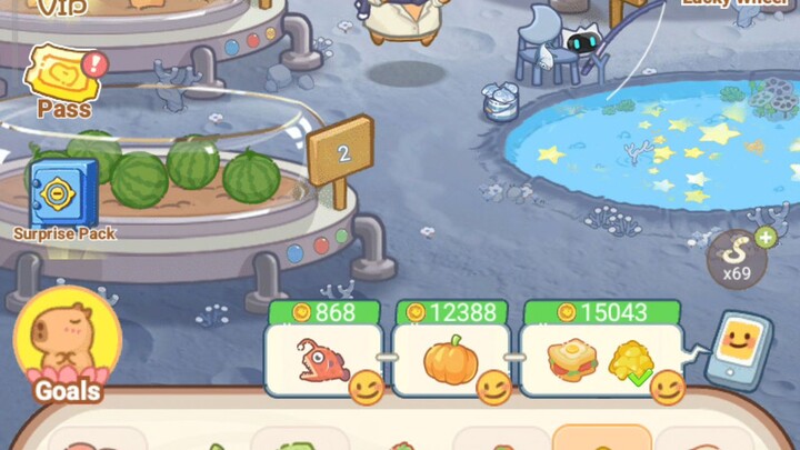HappyCapy7 75