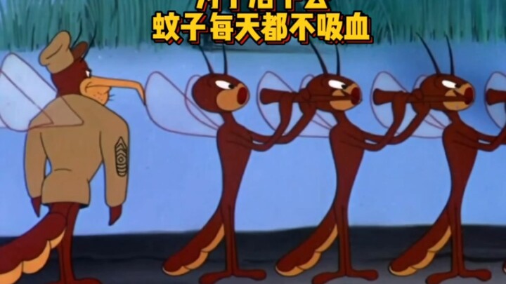 为了活下去 蚊子每天都不吸血