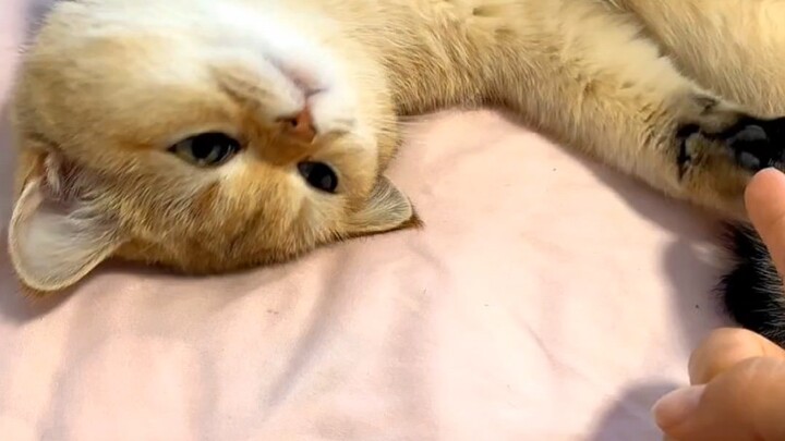 The truth is brutal—but it’s the truth.