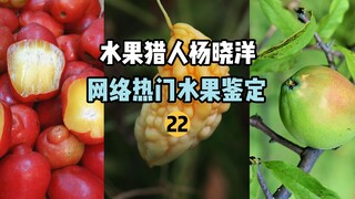 【水果猎人】网络热门水果鉴定22