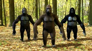 Dancing Gorilla