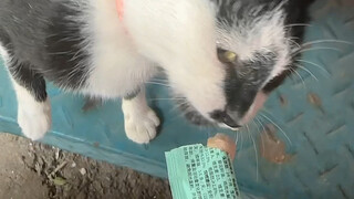 Đã gần 3 tháng rồi, chắc mấy hôm nay là sinh.