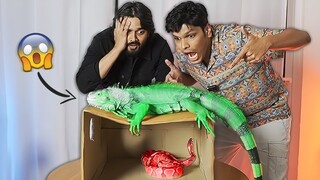 WHAT'S IN THE BOX CHALLENGE with Bhuvan Bam!