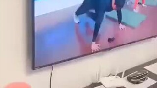 Untungnya guru olahraga tidak memeriksa kelas online ini.