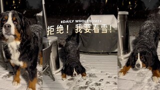 ปฏิเสธ! ฉันอยากดูหิมะ!