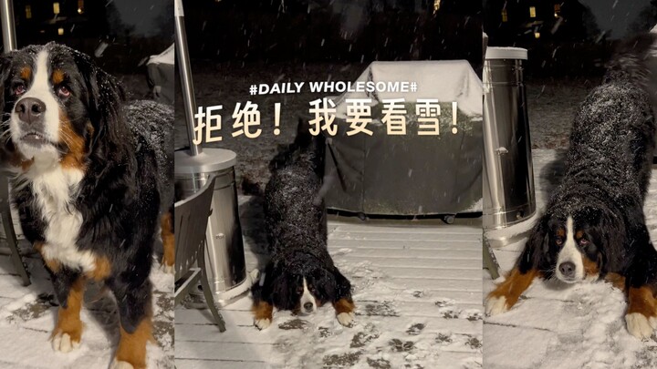 No way! I want to see snow!