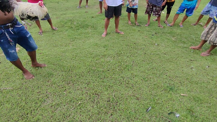 First Fight ni Bullseye Win mga Boss idol 🐓🐓🐓