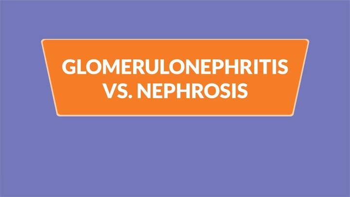 Glomerulonephritis & Nephrosis