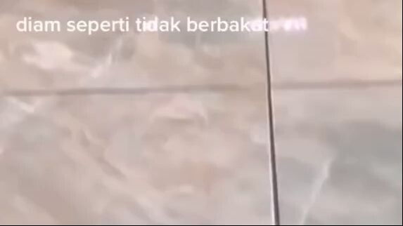 diam seperti tidak berbakat bergerak mengambil berkat (gini amat punya temen)