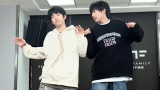 [TF Family Trainees] Little Sisi's first shake of the year! This grouping is really good~