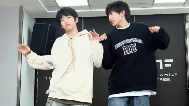 [TF Family Trainees] Little Sisi's first shake of the year! This grouping is really good~