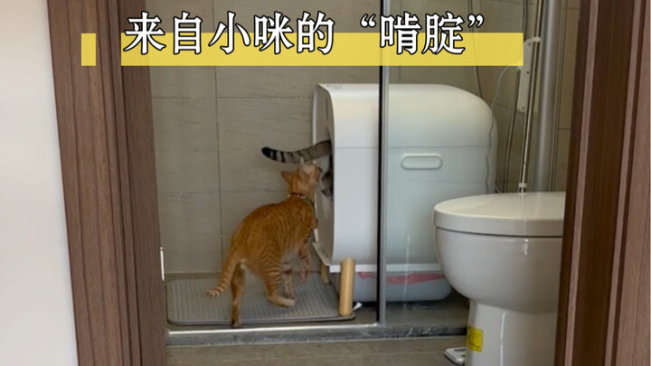 Ciri khas luka sembuh tapi lupa rasa sakit