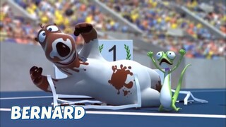 BERNARD BEAR || THE OLYMPIC STADIUM - CARTOON CHILDREN