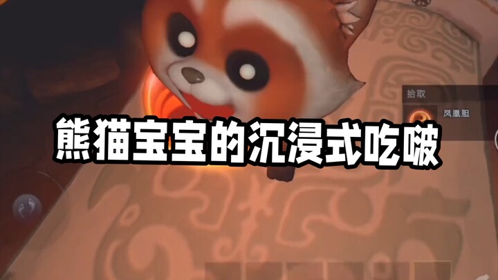 Momen makan yang asyik dari bayi panda