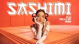 Sashimi (CM1X & VRT Remix) - Chipu