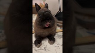 ТАКОГО АРИАНА НЕ ОЖИДАЛА😱😱😱