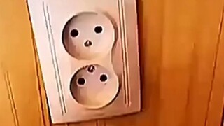 注意安全哦小笨蛋