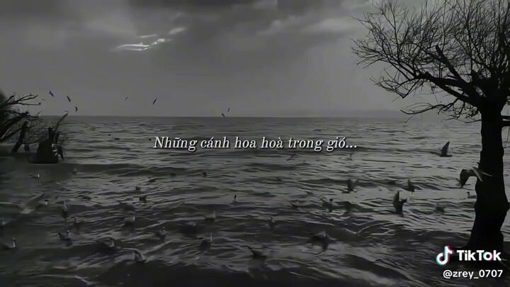 tâm sự của trái tim