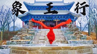 【Elephant King's Journey】Water sleeves? Fan? Sword? Silk ribbon? Full of intense beat-matching throu