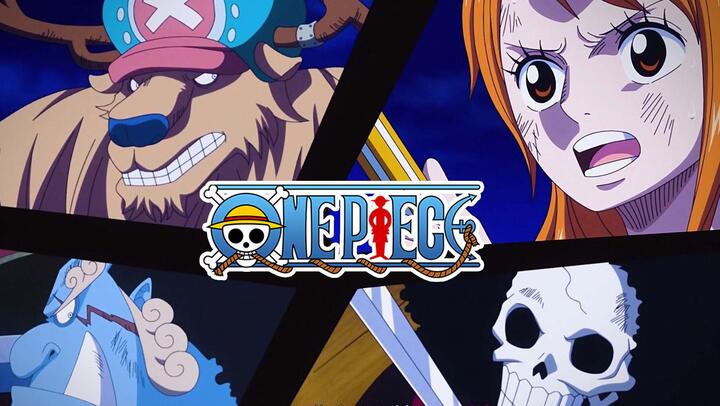 One Piece Ncop9 Jungle P 5050 Bilibili