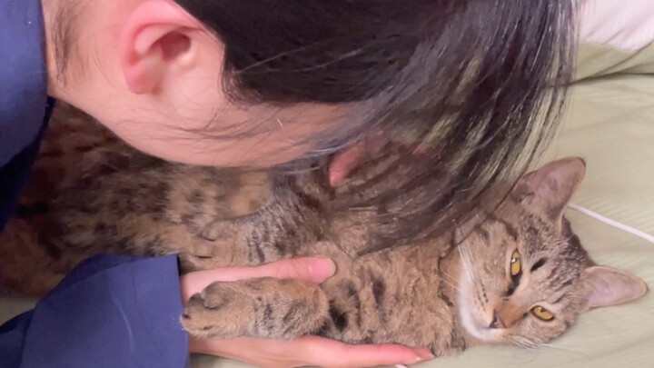 Một ngày cưng chiều linh thú Tôn Nghi trong đạo quán của ta~ #Thường nhật #Thanh niên Đạo giáo #Thườ