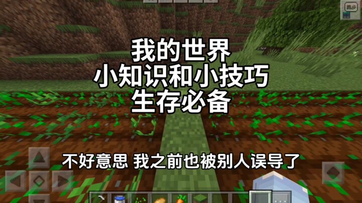 [Minecraft] Pengetahuan dan Tip Praktis Kecil (8)