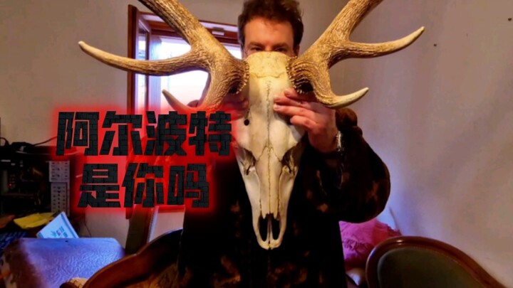 رأس غزال حقيقي عثر عليه مع صديق فرنسي، له رائحة تشبه رائحة بحيرة الصدأ.