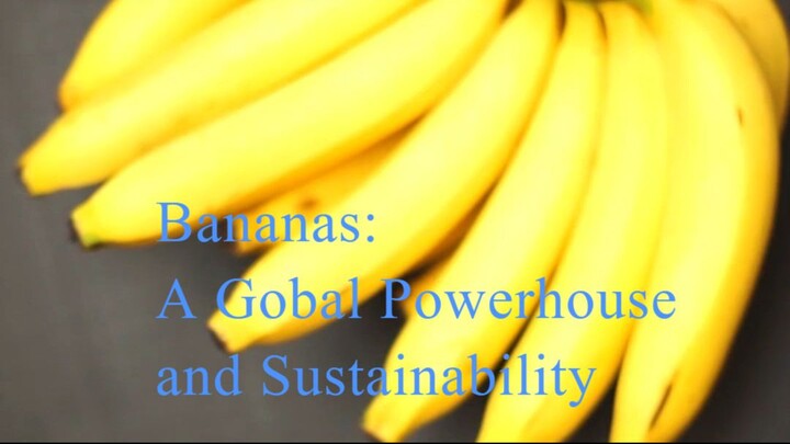 Bananas: A Global Powerhouse of Nutrition and Sustainability