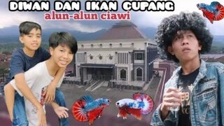 DIWAN ikan CUPANG❗| komedi indonesia | keluarga ambyar | CIAWI