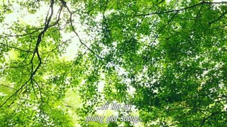 Tôi Vẫn Chưa Từng Thử Hết Sức EP 4 [Sub Việt]